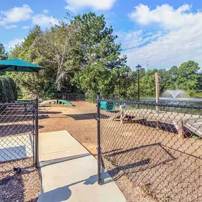 Private gated dog park with agility equipment