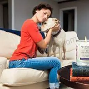 Does your pet need nutritional advice consultations? Benson's Canine Cookies provides access to organic, premium, and raw diets, and a wide range of holistic supplements for companion animals.