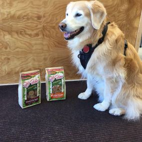 Do you need someone to deliver pet products at your doorsteps? Food 4 Paws is a local store-to-door delivery service in Cedar Rapids, IA to fulfill all of your companion animal’s needs.