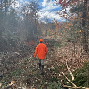 Surveying land in Maine with Tall Pines Forest Management