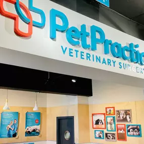 Pets Corner Christchurch Interior