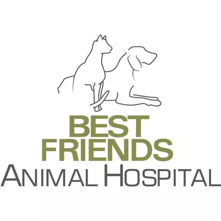 Logo from Best Friends Animal Hospital