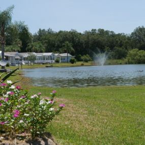 Bild von Forest Lake Village