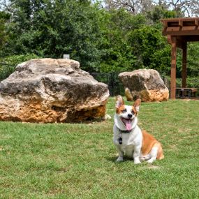 On-site, gated dog park with covered seating at Camden Gaines Ranch in Austin, TX