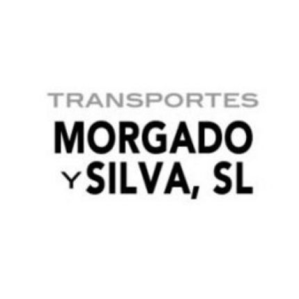 Logo von Transportes Morgado Y Silva S.L.