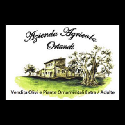 Logo fra Azienda Agricola Orlandi e Zini