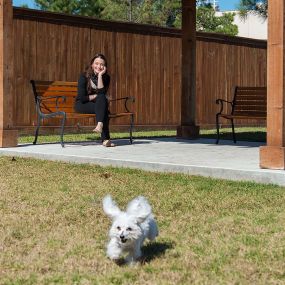 Private dog park pet friendly one two and three bedroom apartments