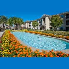 Beach style pool with water features