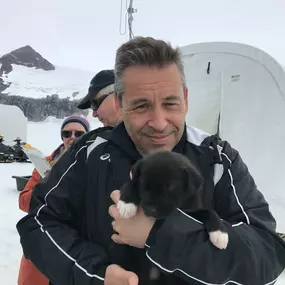 Alaskan Sled Puppy