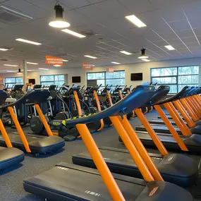 Basic-Fit Hoofddorp Arnolduspark - cardio