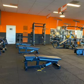 Basic-Fit Hoofddorp Arnolduspark - free weight zone