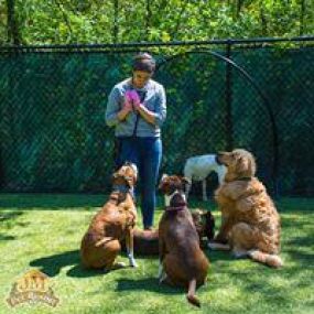 Do you need someone to deliver pet products at your doorsteps? JM Pet Resort & JM Pet Vet Clinic is a local store-to-door delivery service in  US States, Capitals, and Government Links Massachusetts to fulfil all of your companion animal’s needs.