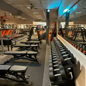 Basic-Fit Boxmeer Rembrandt van Rijnstraat - free weight zone