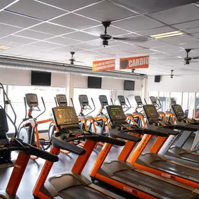 Bild von Basic-Fit