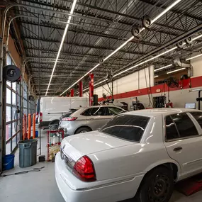 Bild von Tire Discounters