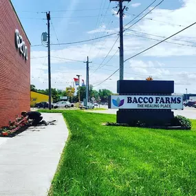 Bacco Farms Weed Dispensary