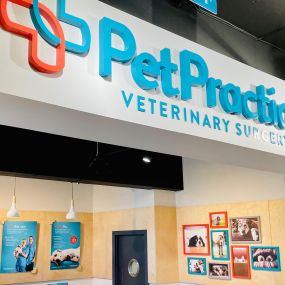 Pet Practice Christchurch Interior