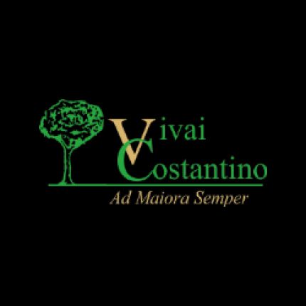 Logo van Vivai Costantino
