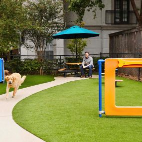 Private dog park with agility equipment at Camden Midtown Apartments in Houston, TX