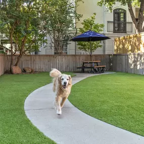 Private dog park at Camden Midtown Apartments in Houston, TX