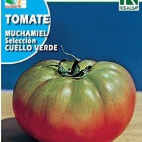 foto.tomate.jpg