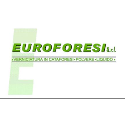 Logo de Euroforesi