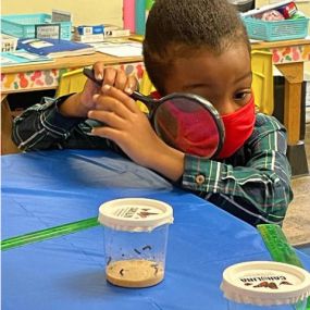 Students in Suite A have some new friends! They’re caring for and observing painted lady caterpillars in their classroom. Students record daily observations in their journals.