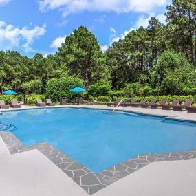 Pool with sundeck surrounded by beautiful trees