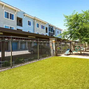 Private off leash dog park with grass and agility courses with benches under shady trees