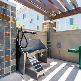 Outdoor dog wash station with hose and dryer and water fountain