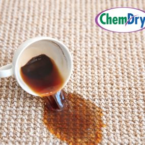 Beyond providing industry-leading cleaning solutions for carpets, upholstery and area rugs, our professionally trained technicians are fully equipped to handle even the most stubborn stains.