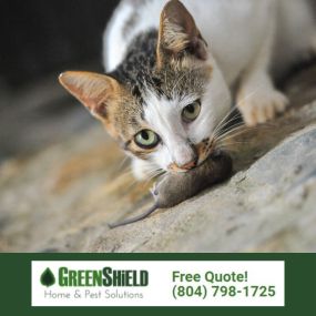 Bild von Greenshield Home & Pest Solutions