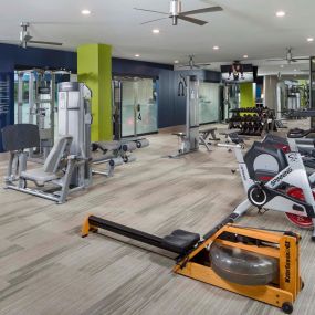 Fitness center with rowing machine and trx system
