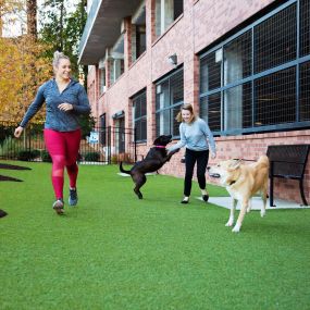 Off leash dog park with bench seating