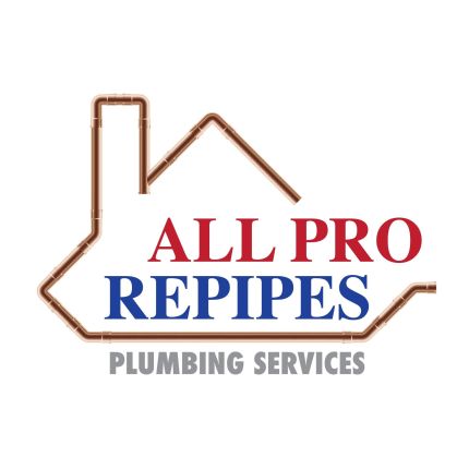 Logotyp från All Pro Repipes Inc