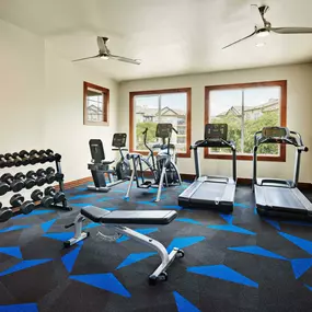 Fitness center with free weights and cardio equipment