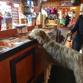 Living Pawsitively is a locally owned family operated business in NJ. We are a one-stop pet store offering a personalized customer experience to every visitor that walks through our door.