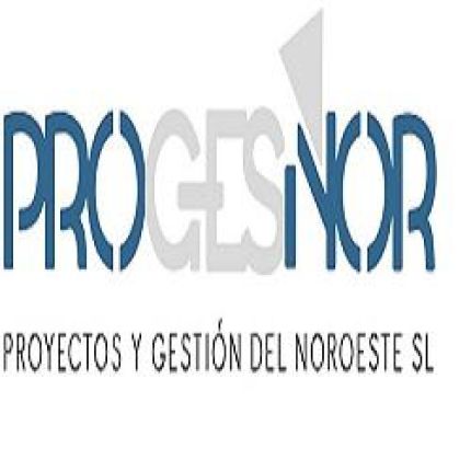 Logo de PROGESNOR - Proyectos y Gestión del Noroeste