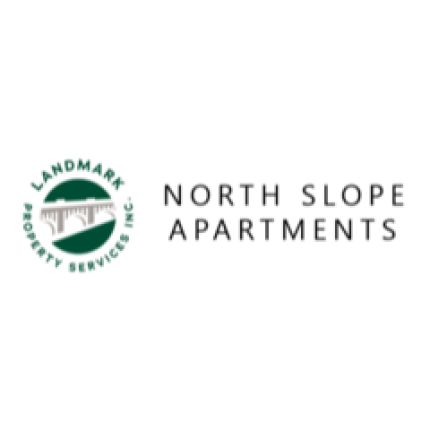 Logo from North Slope