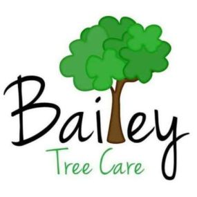 emergency tree removal service gainesville georgia