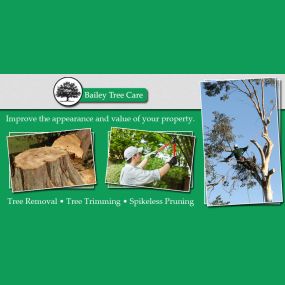 county tree services georgia