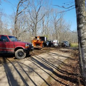 city tree removal georgia