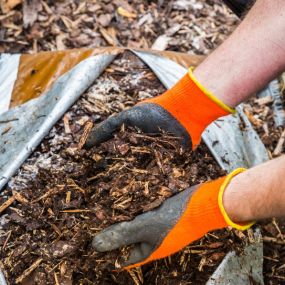 Gainesville tree removal