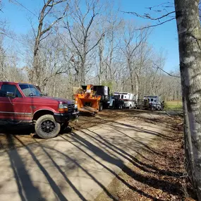 city tree removal georgia