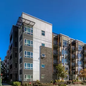 Apartments Building Overview