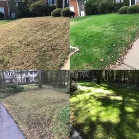 Lawn Care