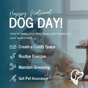 Celebrating National Dog Day with a tail-wagging tip: Living with a dog in an apartment can be joyous and fun with the right preparations!  Ensure your pup has a dedicated, comfy space and keep a routine for daily exercise to help them stay calm and happy. Soundproofing can keep the peace with neighbors, and regular grooming will keep your place clean. Ready to make your apartment a perfect pet-friendly home? Let's talk about how renters and pet insurance can add that extra layer of security.