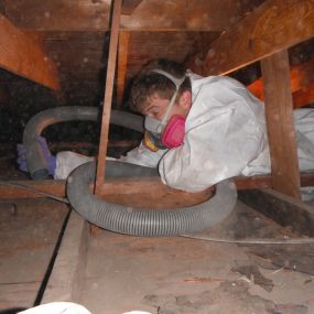 Odor Removal Services