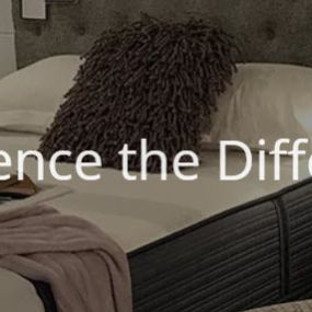 Experience the Difference - Curated Fine Furnishings & Design - call 513.683.2233