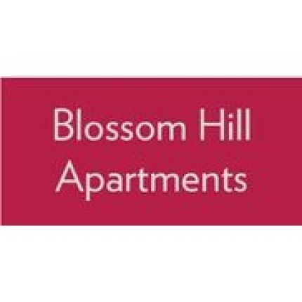 Logo da Blossom Hill